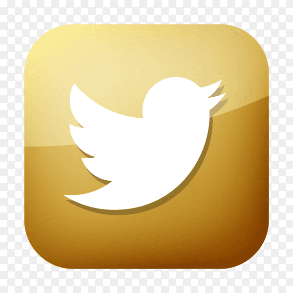 Golden Twitter icon PNG