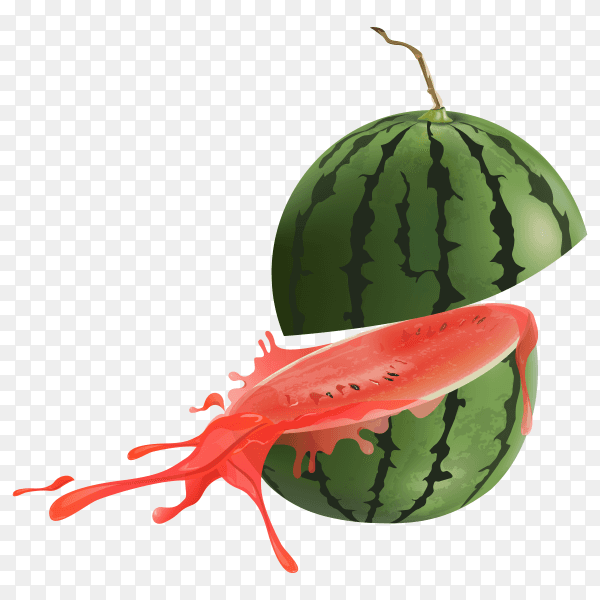 Watermelon clipart PNG