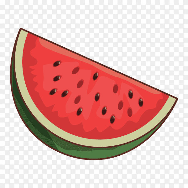 Watermelon fruit vector PNG