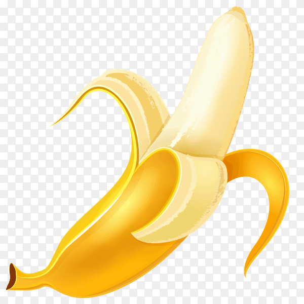 Banana Fruit vector PNG