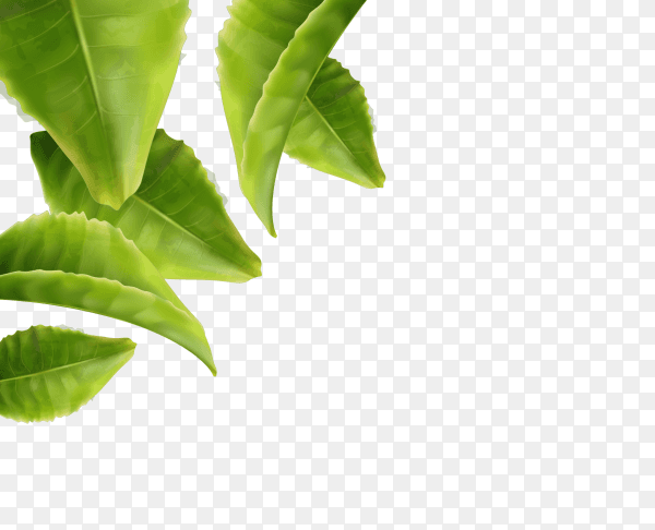 Flying leaves clipart PNG