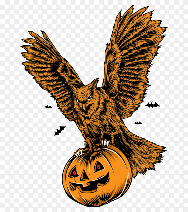 Owl with pumpkin vector PNG