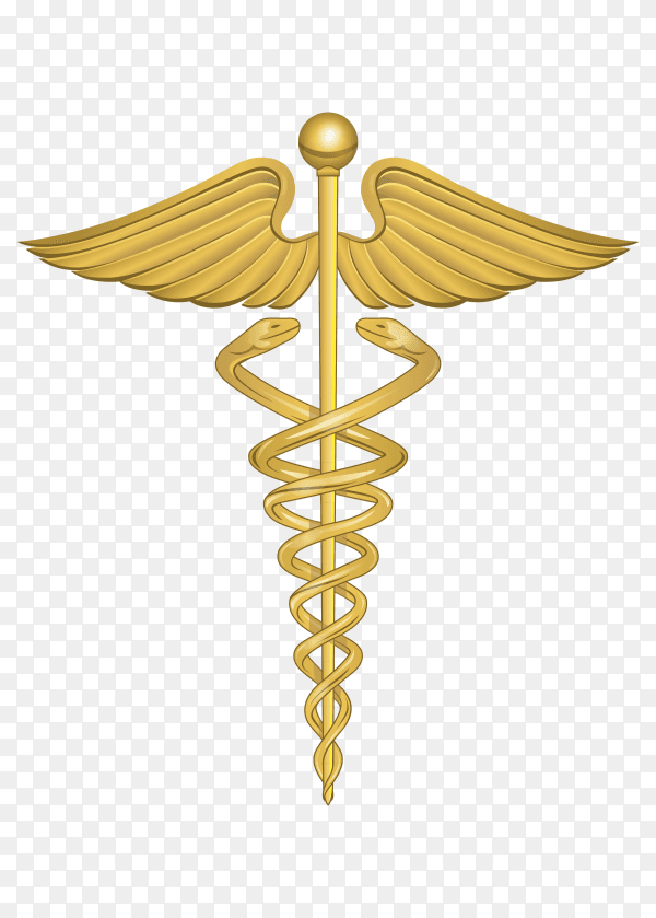 Pharmacy logo vector PNG