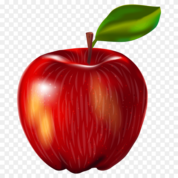 Red Apple vector PNG