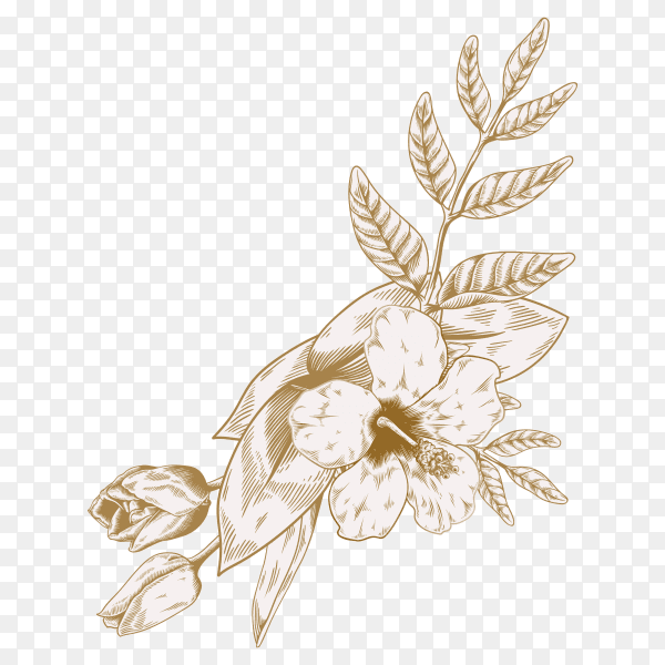 Beautiful flower vector PNG