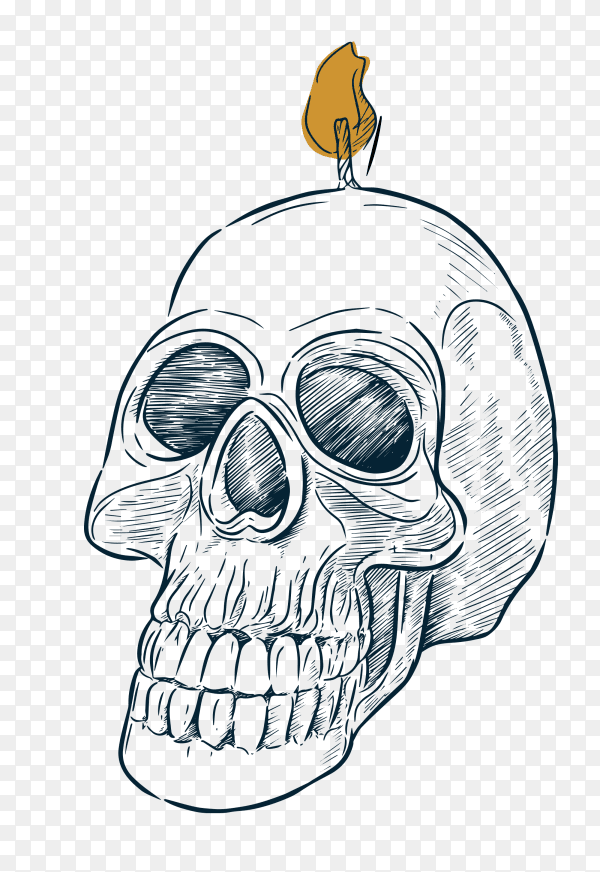 skull head vector PNG