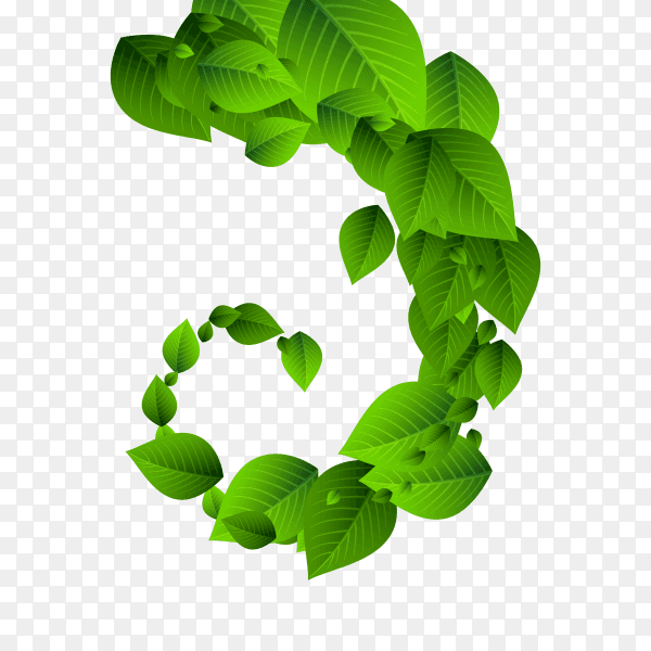 Falling green leaves. Fresh tea neat leaves flying on transparent background PNG