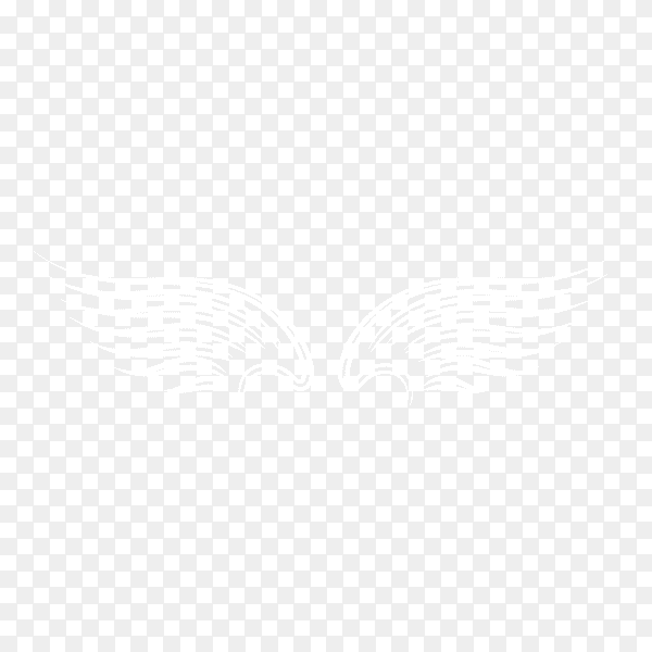 White realistic wings. Pair of white isolated angel style wings with feathers on transparent PNG