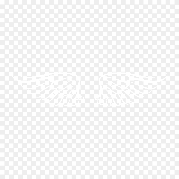 White realistic wings. Pair of white isolated angel style wings with feathers premium vector PNG