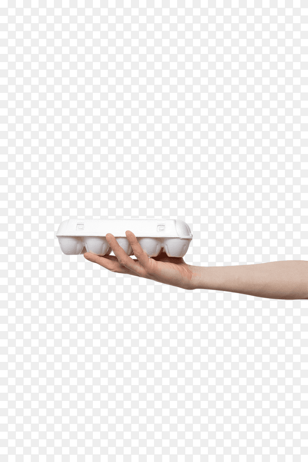 Eggs held in hand isolated . man holding egg in plastic package on transparent background PNG