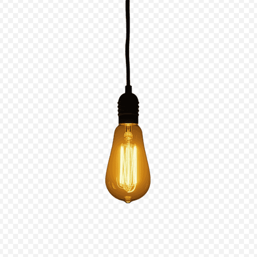 Vintage Light Bulb PNG with Transparent Background