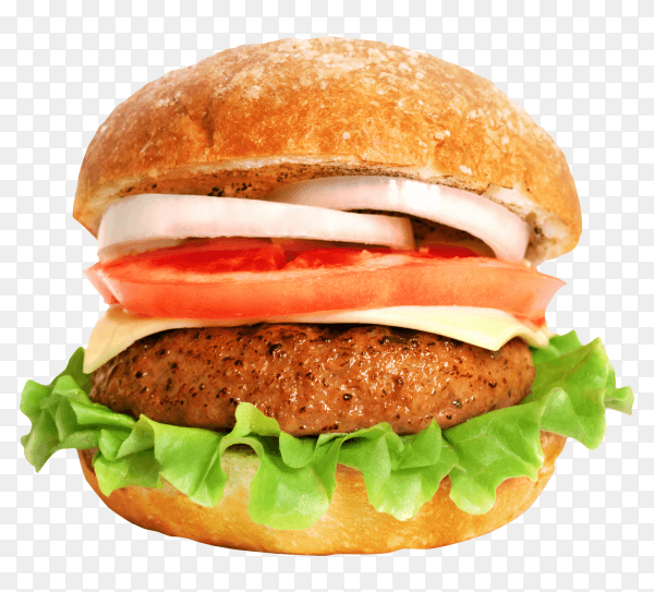 Beef burger with salad garnish in abagel PNG