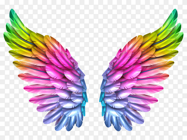 Color wing transparent PNG