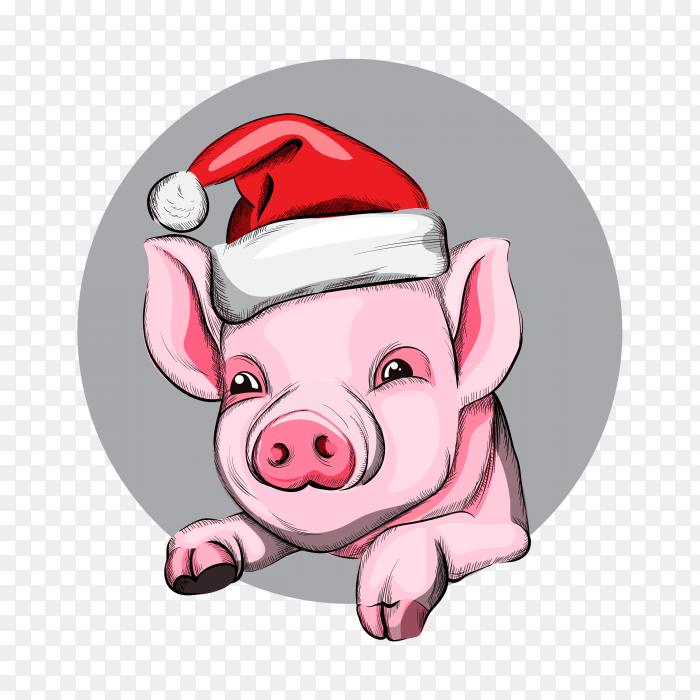 Happy new year pig year symbol with red cap PNG