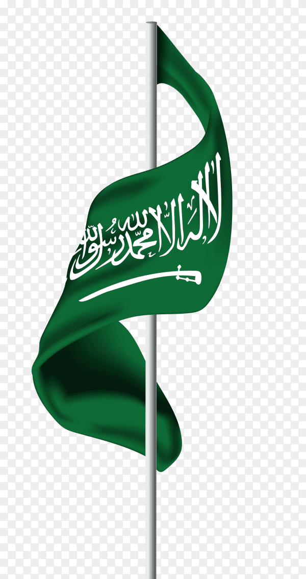 Saudi arabia flag pennant PNG