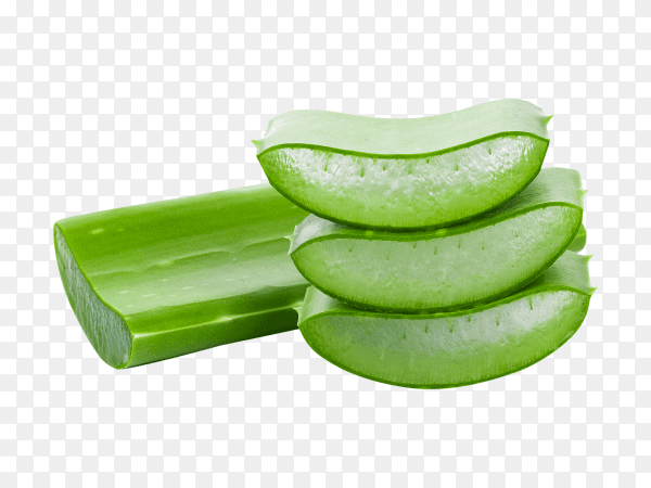 Aloe vera fresh leaf Premium image PNG