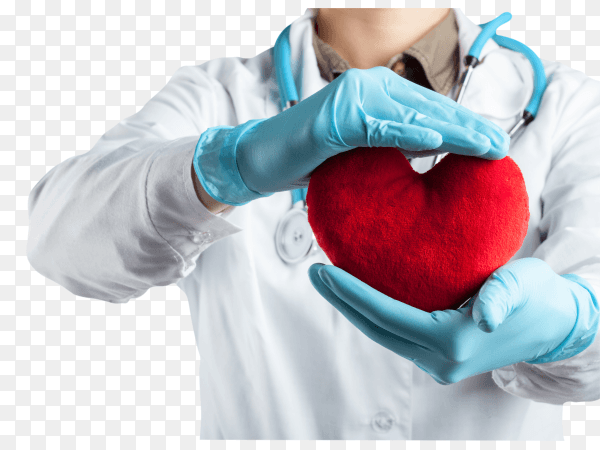 Doctor with stethoscope holding heart transparent PNG