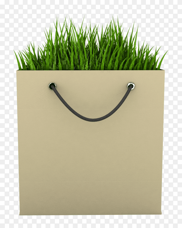 Eco Shopping Bag image transparent PNG