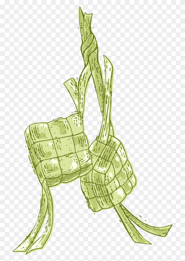 Ketupat vector free download PNG