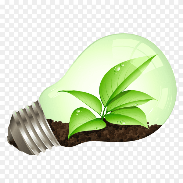 Light bulb with tree leaves transparent PNG