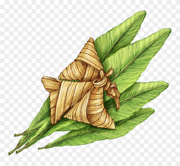 Traditional hand drawn ketupat transparent PNG