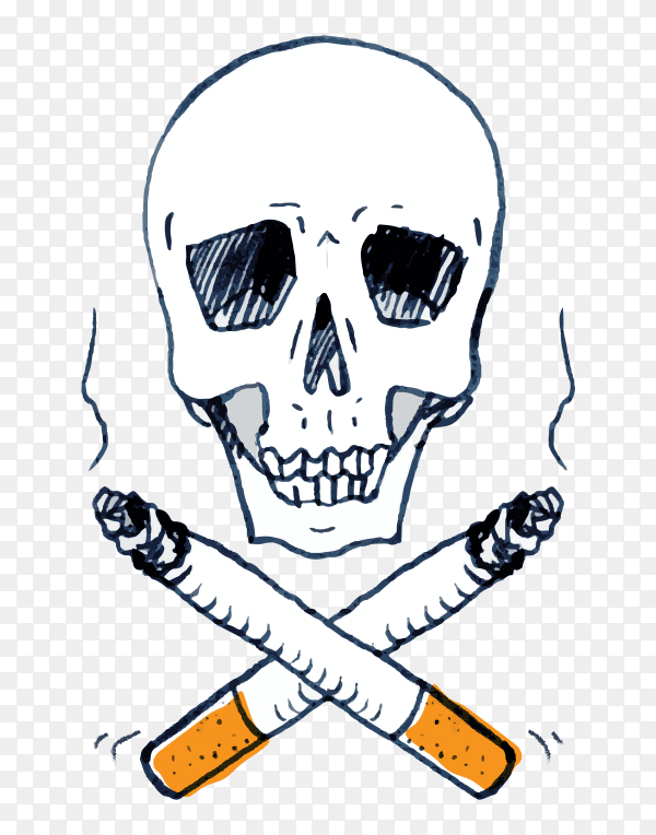 skull with cigars vector PNG
