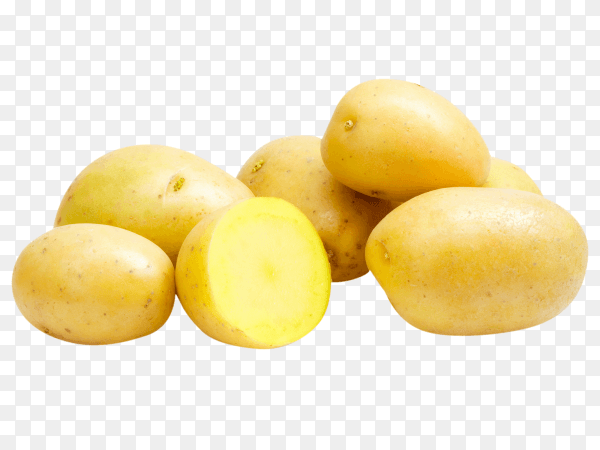 Fresh Potato premium photo PNG