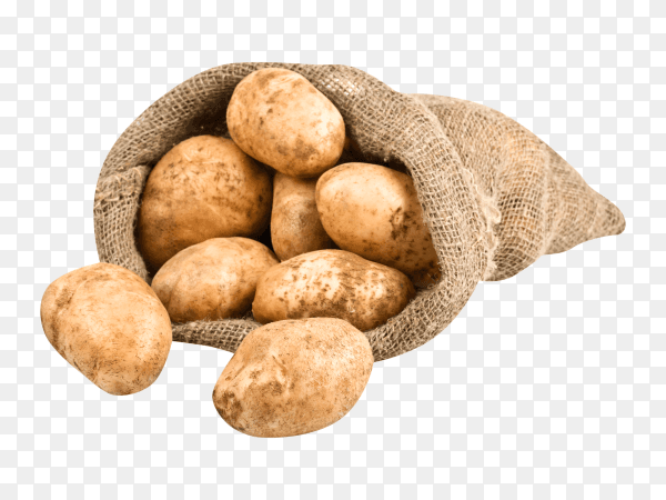 Potato in the sack on transparent background PNG