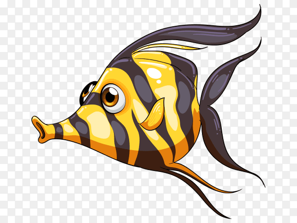 A stripe colored fish on transparent PNG