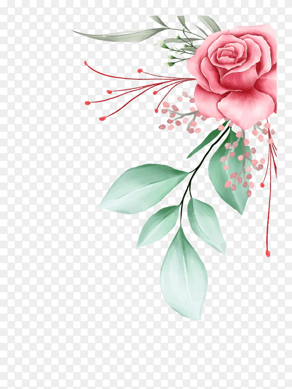Beautiful wedding invitation set red rose white anemone flowers vector PNG