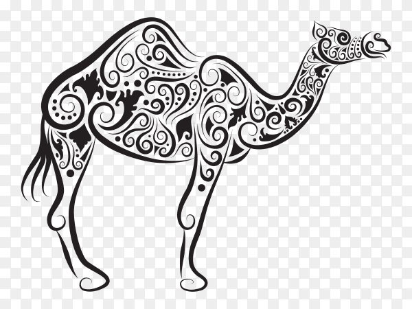 Drawing lines pattern for camel vector PNG