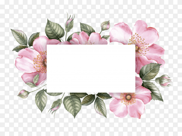 Invitation card on flowers frame vector PNG