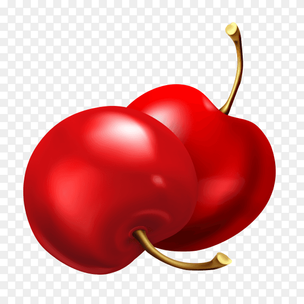 Sweet And Sour Delicious Red Cherry vector PNG