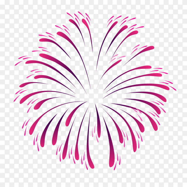 Abstract Pink Fireworks on transparent background PNG