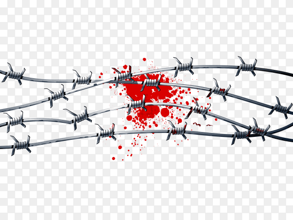 Barbed wire steel on transparent background PNG