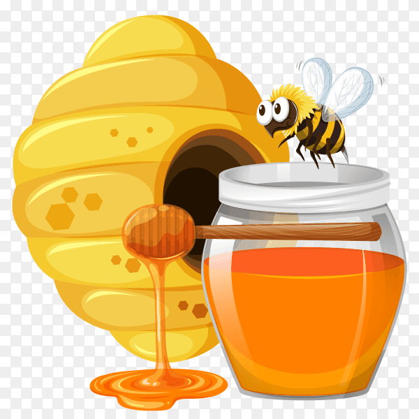 Bee and honey in jar on transparent background PNG