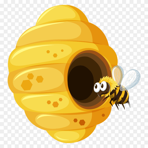 Bee hive on transparent background PNG