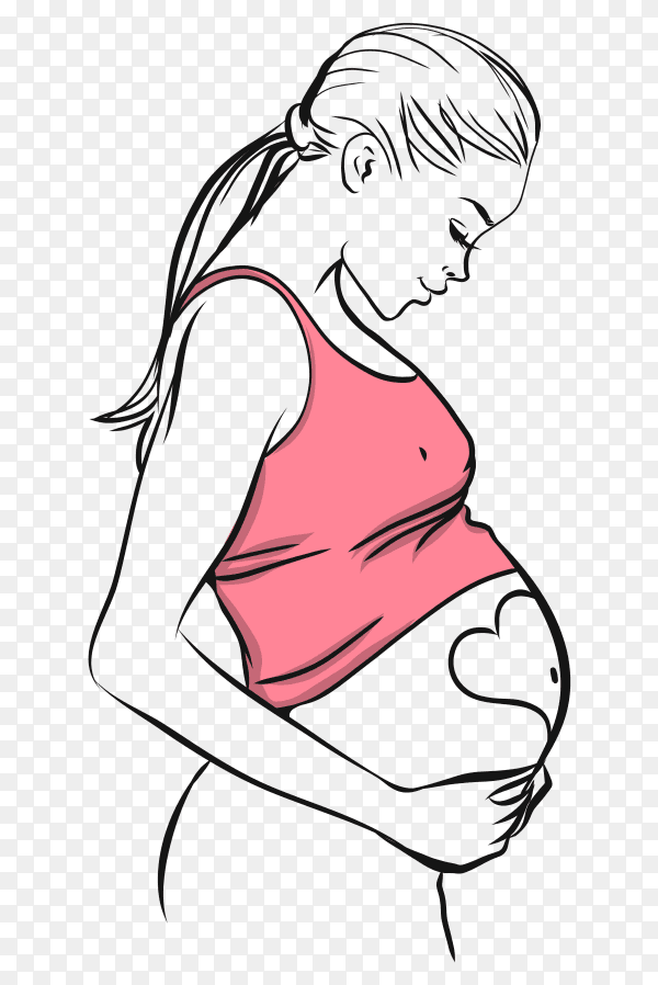 Caressing stomach for a pregnant woman vector PNG