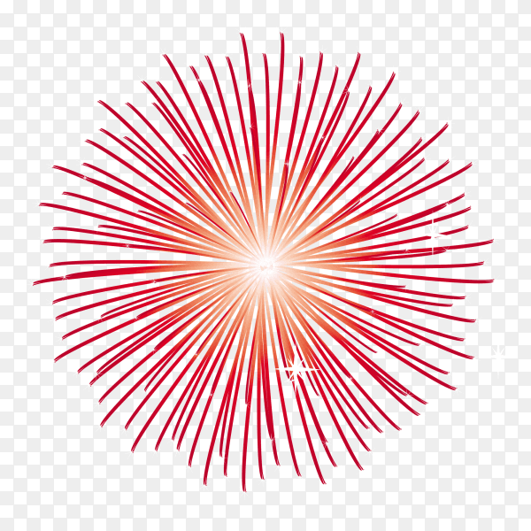 Celebration fireworks on transparent PNG