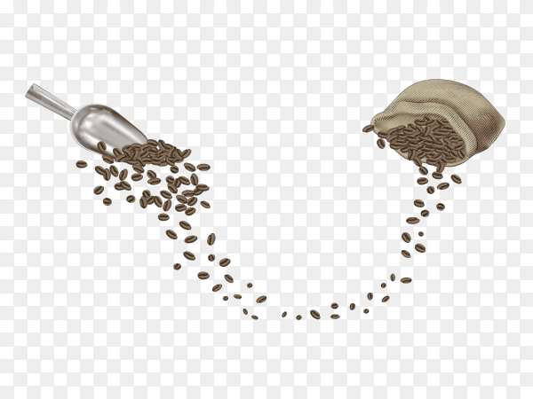Coffee beans on transparent background PNG