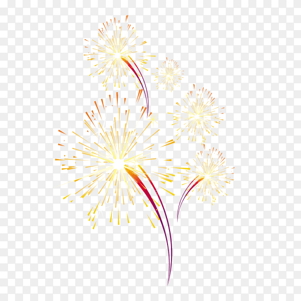 Colorful fireworks celebration Premium vector PNG