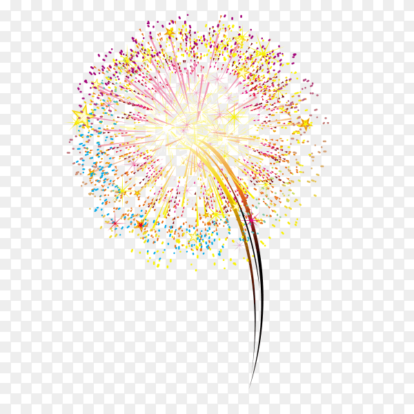 Elegant fireworks on transparent background PNG