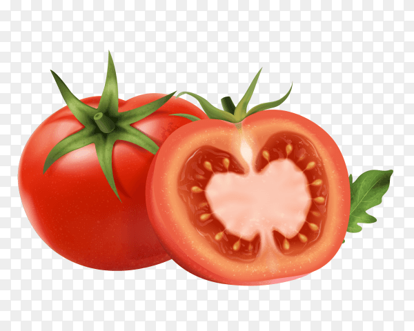 Fresh tomatoes with green on transparent PNG