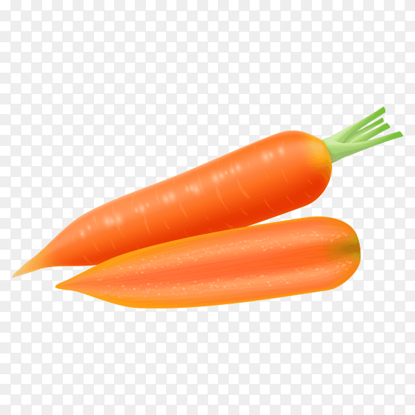 Fresh orange carrots premium vector PNG
