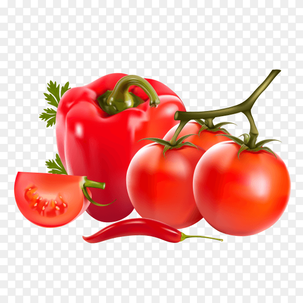 Fresh red tomato and red paper vector PNG