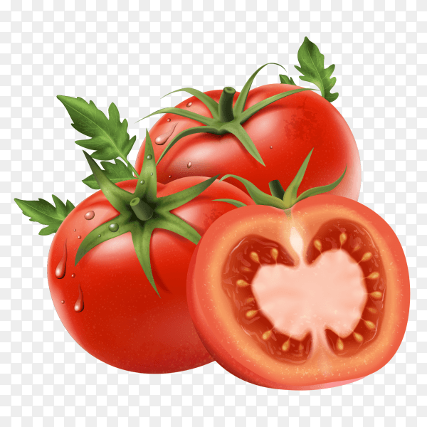 Fresh tomatoes on transparent background PNG