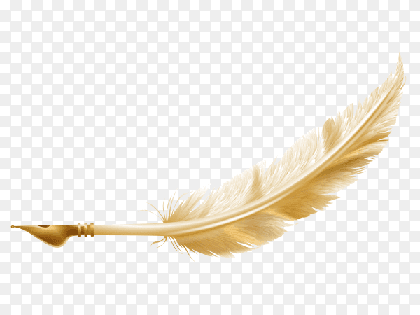 Golden feather design on transparent background PNG