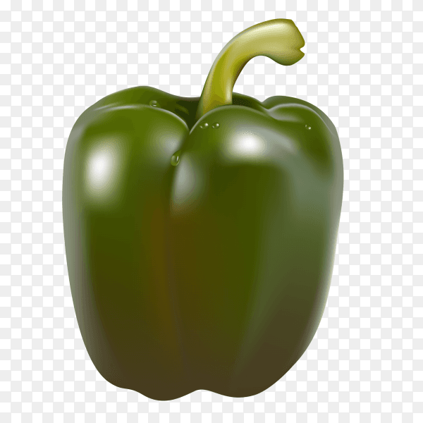 Green pepper on transparent background PNG
