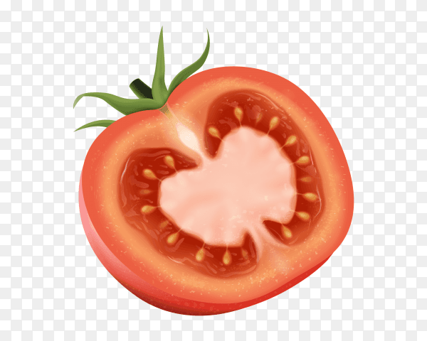 Half tomato on transparent background PNG