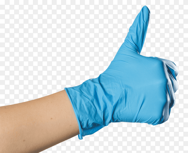 Hands in medical latex gloves on transparent background PNG PNG